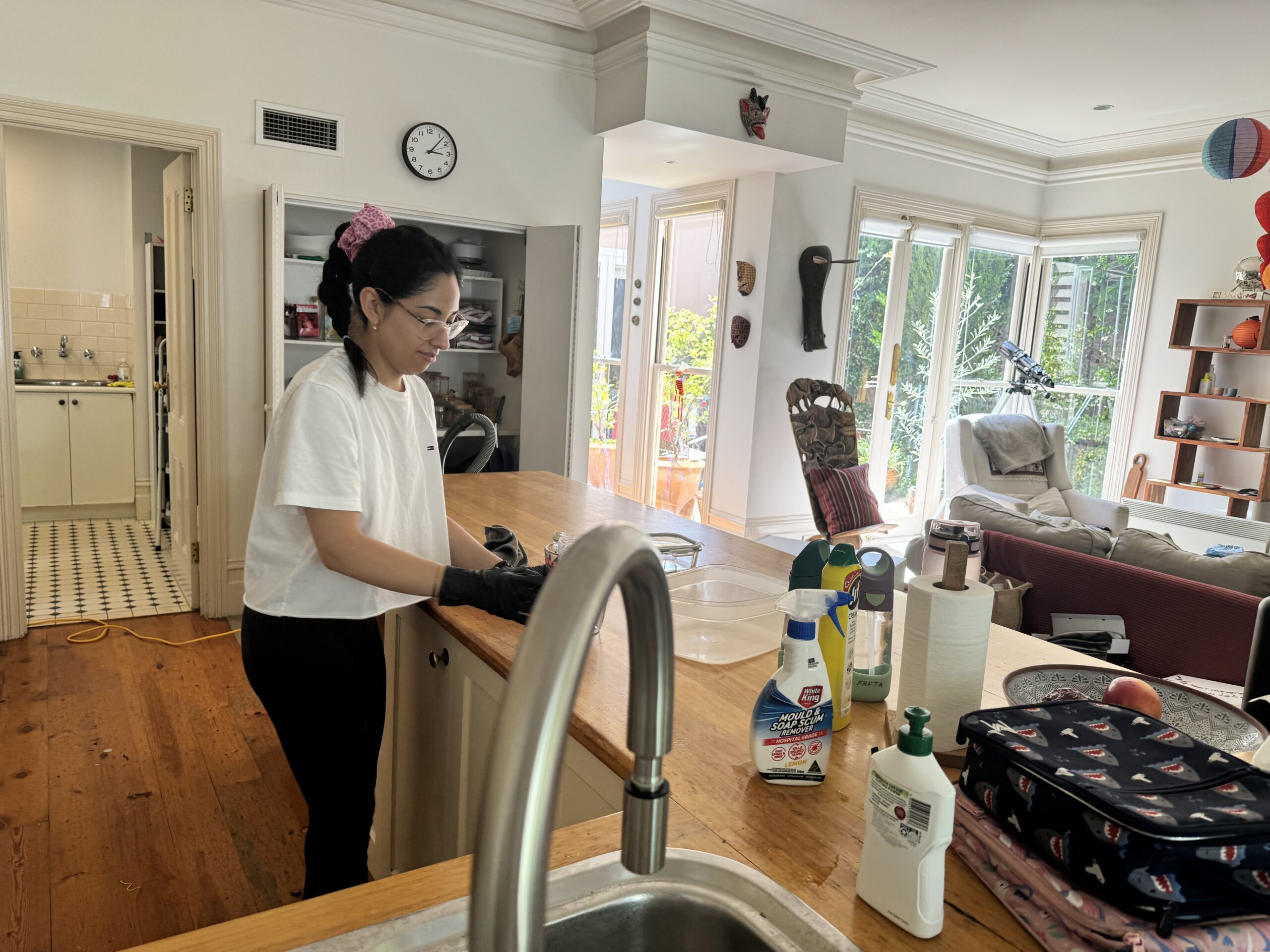 housekeeping for professionals